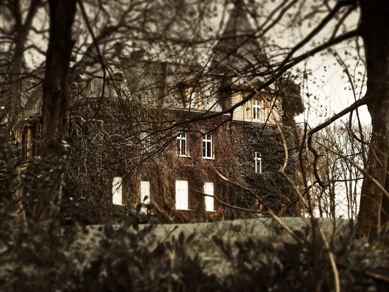 深夜的回声，简单却悚然的英文鬼故事——The Whispering Library