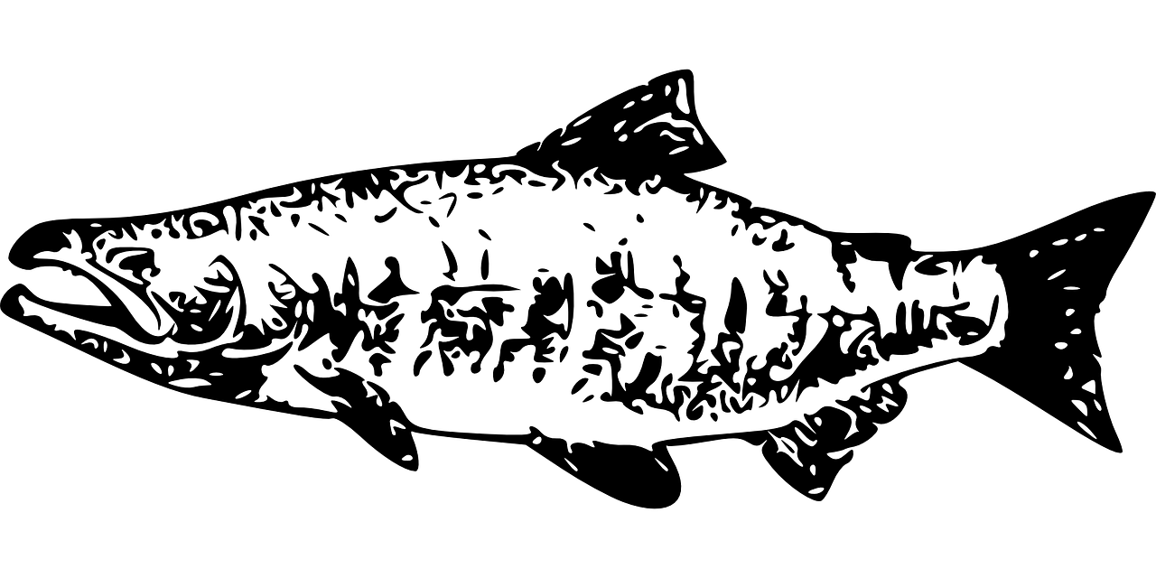 生活之美，用简笔画捕捉日常的诗意