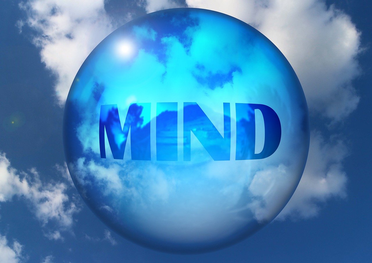 生活智慧与日常知识，揭秘生活经验和常识大全的区别
