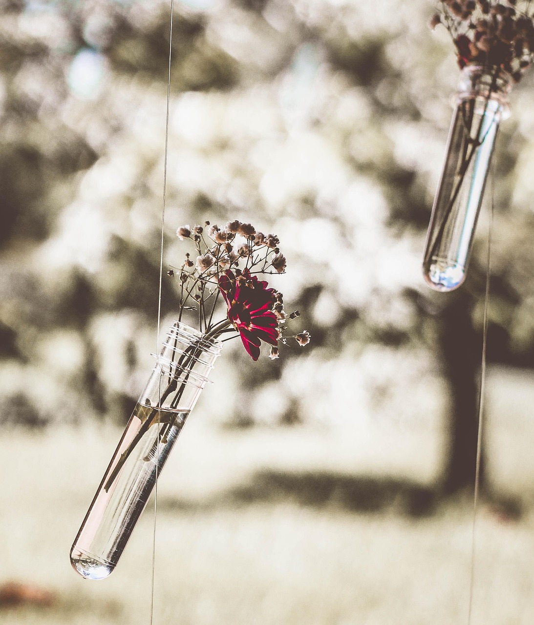 The Art of Living:Embracing the Richness of Life Experiences in English