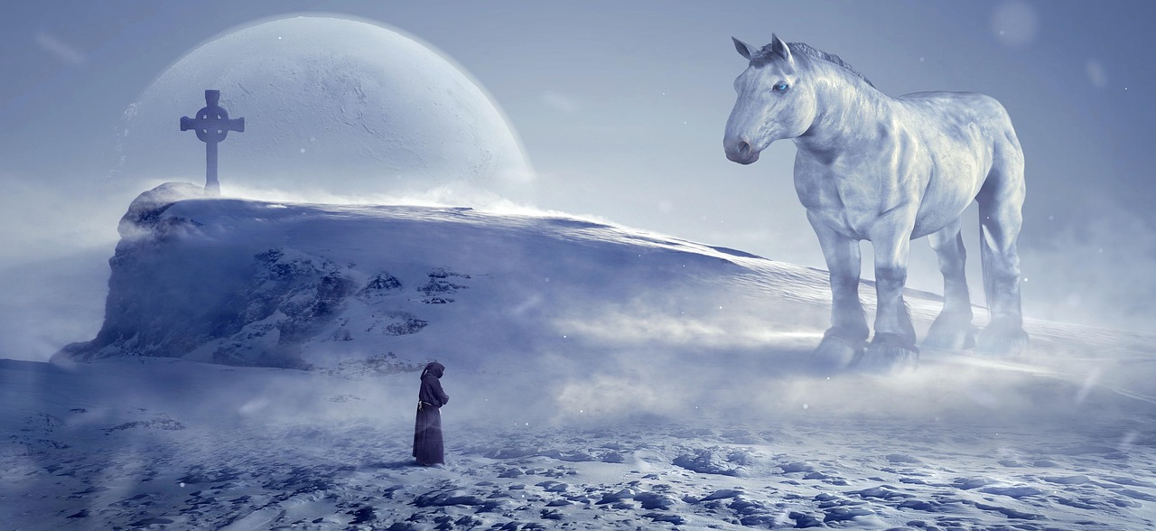 寒假假期生活趣事，冰天雪地里的温暖记忆